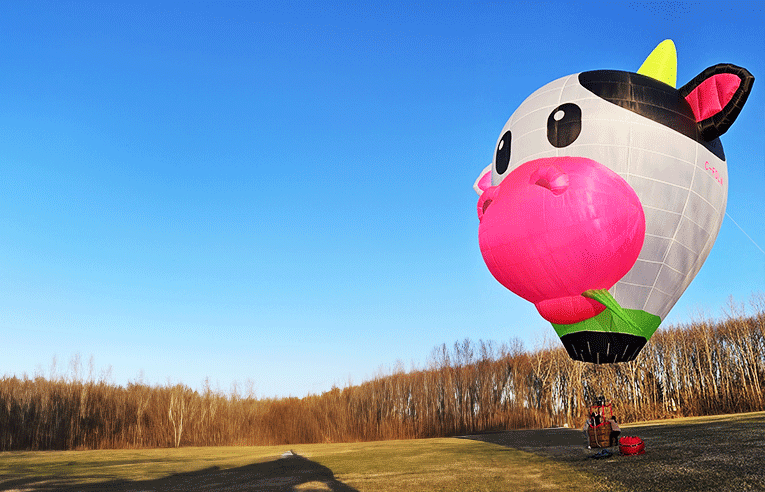 BARD BALLOONS JUST TEST INFLATED 3 NEW SPECIAL SHAPES