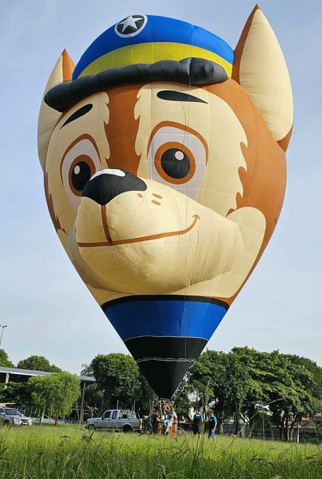 dog hotairballoon