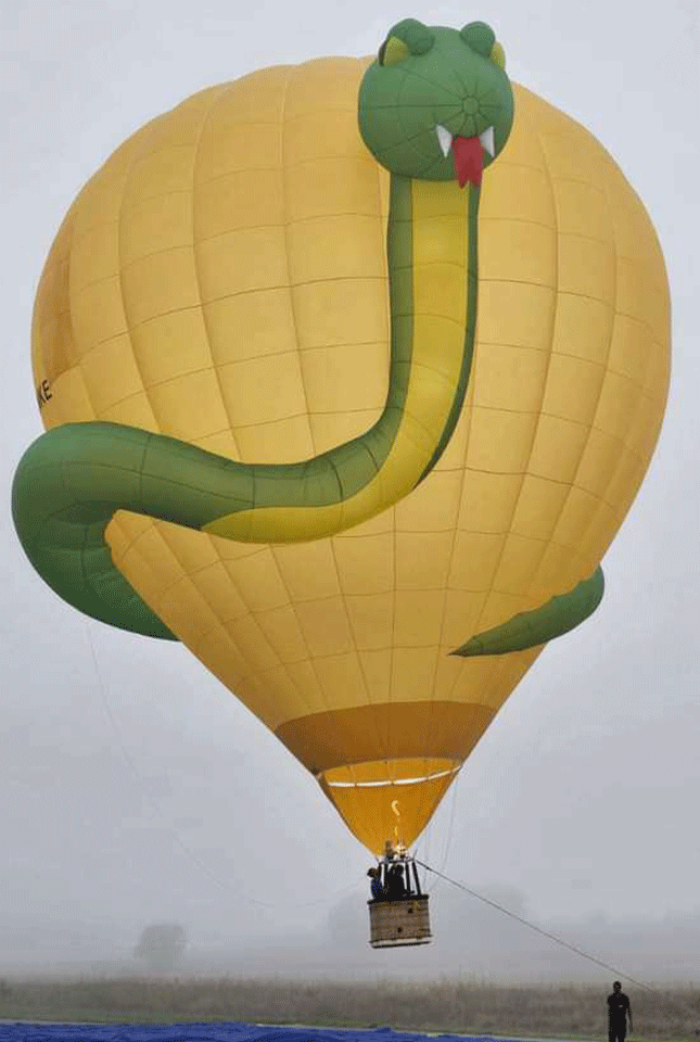 snake hotairballoon